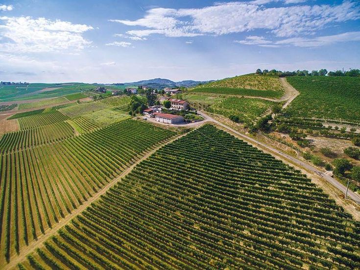 Satılık Tarla ( örnek ilan )